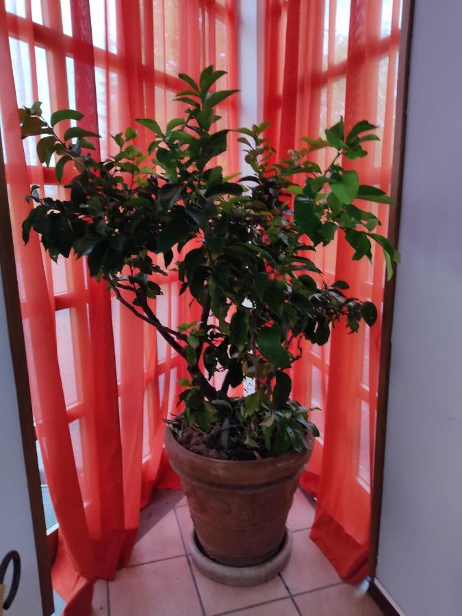 Hotel La Vela Castelnuovo Rangone Экстерьер фото